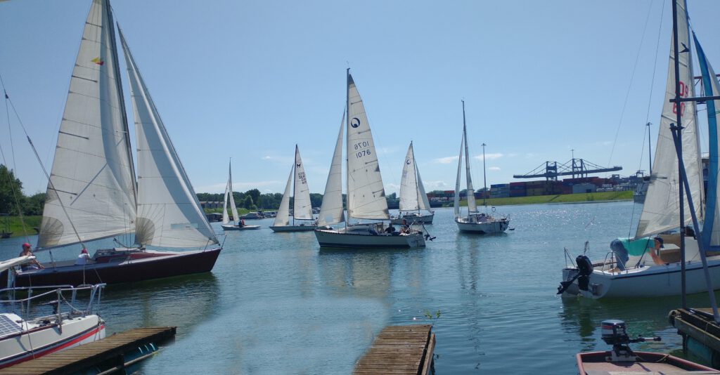 Segelsport im Hafen Germersheim