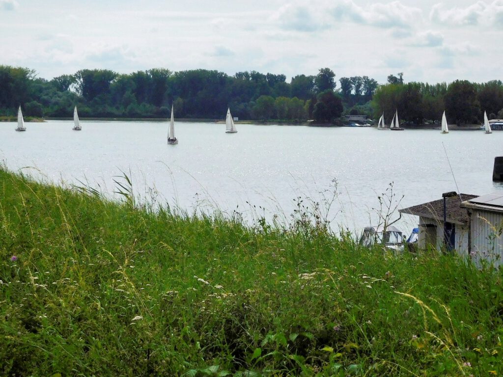 Segelsport und Wettbewerbsgeist gepaart mit Taktik im Rheinhafen Germersheim