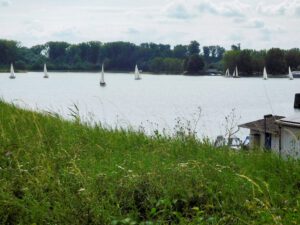 20240804_DSCN2571_RS Segelsport mit Taktik im Rheinhafen Germersheim
